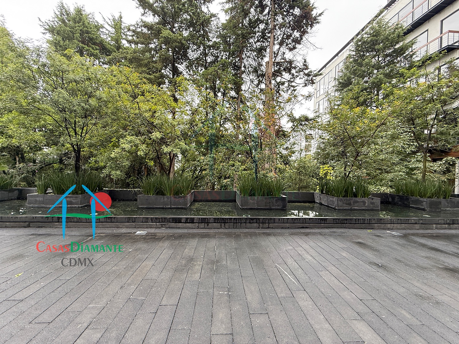 Acanto Ecos del Bosque - Acceso 6 Acanto Ecos del Bosque - Acceso 6